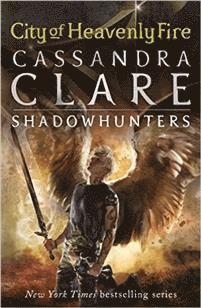 bokomslag City of Heavenly Fire