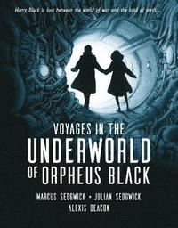 bokomslag Voyages in the Underworld of Orpheus Black