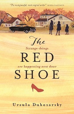 bokomslag The Red Shoe