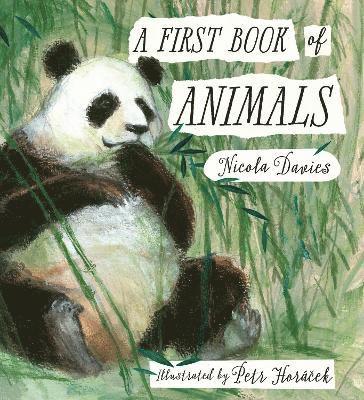 Nicola Davies - First Book of Animals, Inbunden