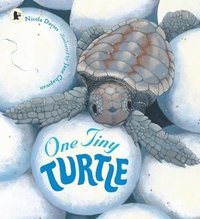 bokomslag One Tiny Turtle