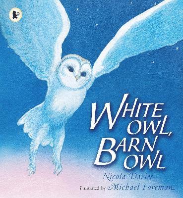 White Owl, Barn Owl 1