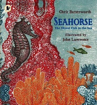 Chris Butterworth - Seahorse: The Shyest Fish in the Sea, Häftad