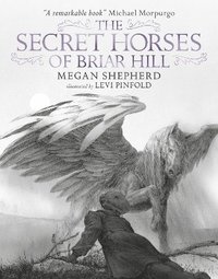 bokomslag The Secret Horses of Briar Hill