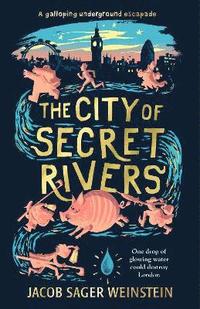 bokomslag The City of Secret Rivers