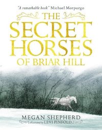 bokomslag Secret Horses of Briar Hill