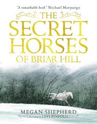 bokomslag The Secret Horses of Briar Hill