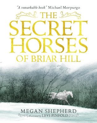 bokomslag Secret Horses of Briar Hill