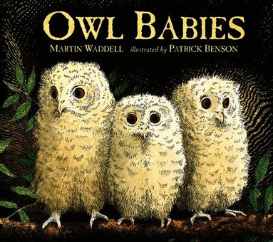 Martin Waddell - Owl Babies, Kartonnage