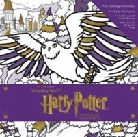 bokomslag Harry Potter: Winter at Hogwarts: A Magical Colouring Set
