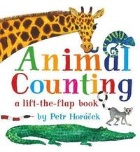 bokomslag Animal Counting