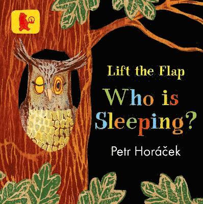 Petr Horácek, Petr Horacek - Who Is Sleeping?, Kartonnage