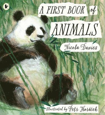 bokomslag First Book of Animals
