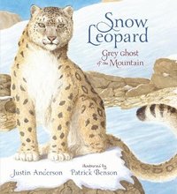 bokomslag Snow Leopard: Grey Ghost of the Mountain
