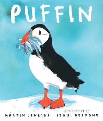 Puffin 1