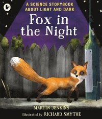 bokomslag Fox in the Night: A Science Storybook About Light and Dark