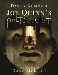 bokomslag Joe Quinn's Poltergeist