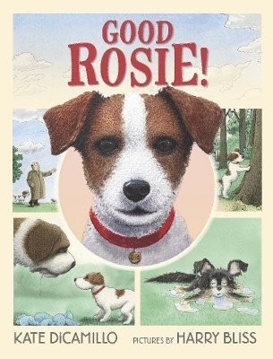 bokomslag Good Rosie!