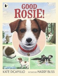 bokomslag Good Rosie!