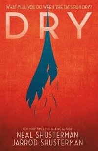 bokomslag Dry