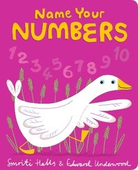 bokomslag Name Your Numbers