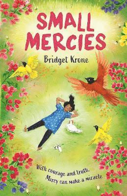 Bridget Krone - Small Mercies, Häftad