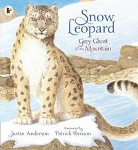 bokomslag Snow Leopard: Grey Ghost of the Mountain