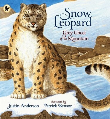 Justin Anderson - Snow Leopard: Grey Ghost of the Mountain, Häftad