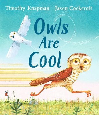 Owls Are Cool 1
