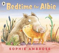 bokomslag Bedtime for Albie