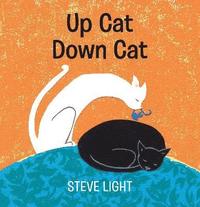 bokomslag Up Cat Down Cat