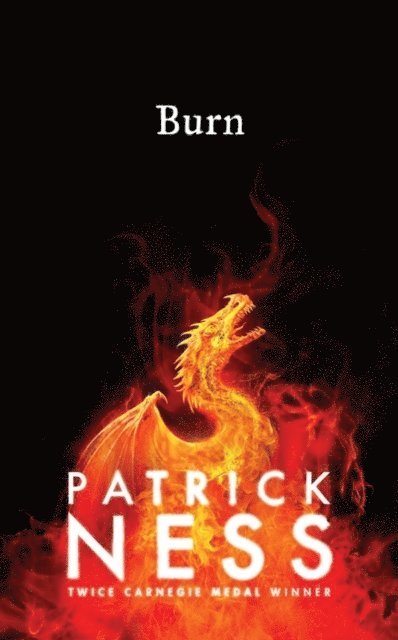 Patrick Ness - Burn, Häftad