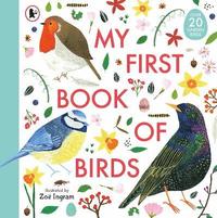 bokomslag My First Book of Birds