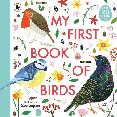 My First Book of Birds 1