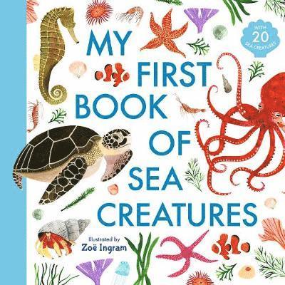 My First Book of Sea Creatures 1