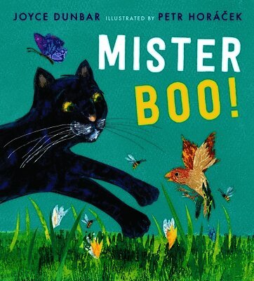 Joyce Dunbar - Mister Boo!, Inbunden