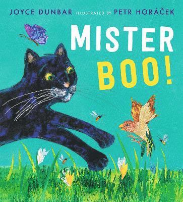 Joyce Dunbar - Mister Boo!, Inbunden