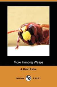 bokomslag More Hunting Wasps (Dodo Press)