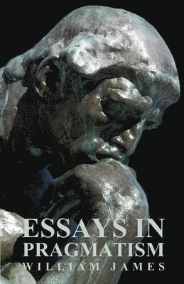 Essays In Pragmatism