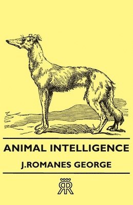 bokomslag Animal Intelligence