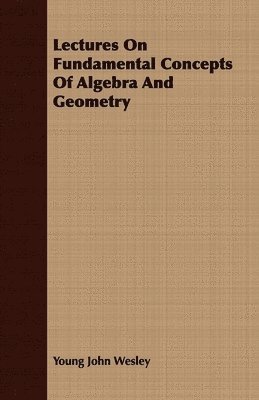 bokomslag Lectures On Fundamental Concepts Of Algebra And Geometry