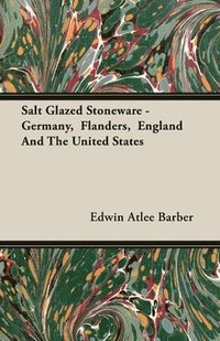 bokomslag Salt Glazed Stoneware - Germany, Flanders, England And The United States