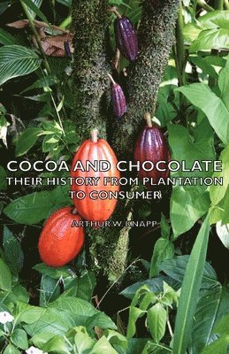 Cocoa And Chocolate - Their History From Plantation To Consumer 1