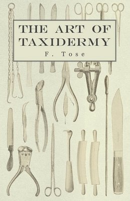 F. Tose - Art of Taxidermy, Häftad