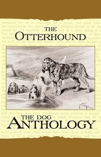bokomslag The Otterhound - A Dog Anthology (A Vintage Dog Books Breed Classic)
