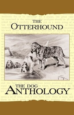 bokomslag The Otterhound - A Dog Anthology (A Vintage Dog Books Breed Classic)