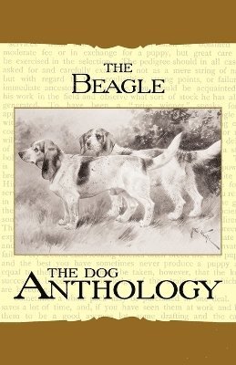 Beagle - A Dog Anthology (A Vintage Dog Books Breed Classic)