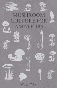 bokomslag Mushroom Culture for Amateurs