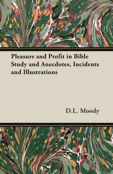 bokomslag Pleasure and Profit in Bible Study and Anecdotes, Incidents and Illustrations