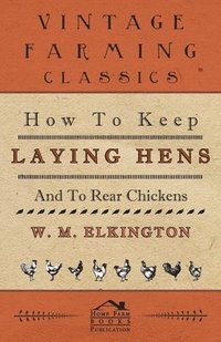 bokomslag How to Keep Laying Hens and to Rear Chickens